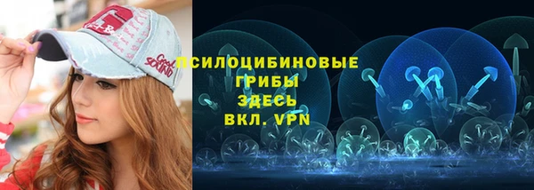 спайс Баксан