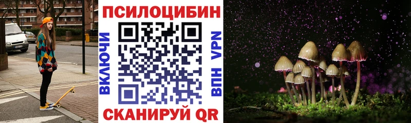 Галлюциногенные грибы Psilocybine cubensis  Верея 